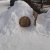 Bilder 2021 - Wettbewerb Schneechallenge